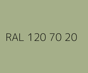 Couleur RAL 120 70 20 