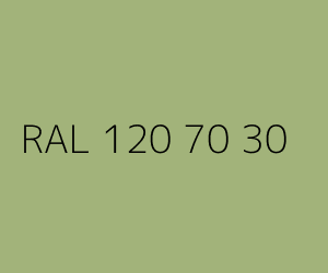 Couleur RAL 120 70 30 