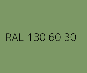 Couleur RAL 130 60 30 