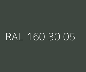 Couleur RAL 160 30 05 