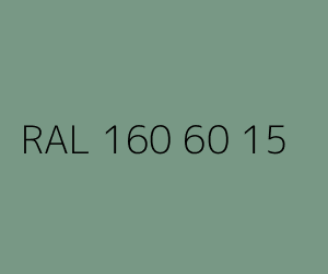 Couleur RAL 160 60 15 