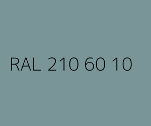 Couleur RAL 210 60 10 
