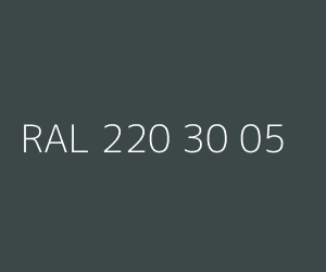Couleur RAL 220 30 05 