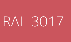 Couleur RAL 3017
