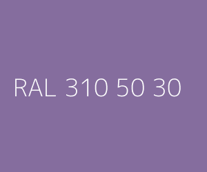Couleur RAL 310 50 30 