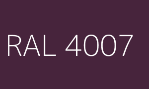 Couleur RAL 4007