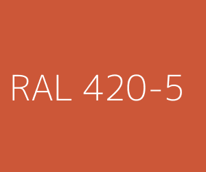 Couleur RAL 420-5 