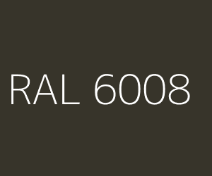 Couleur RAL 6008 VERT BRUN