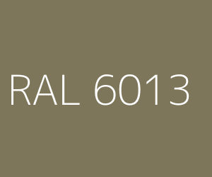 Couleur RAL 6013 VERT JONC