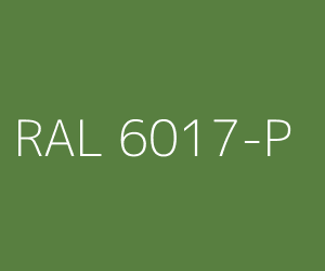 Couleur RAL 6017-P VERT MAI