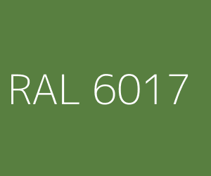 Couleur RAL 6017 VERT MAI