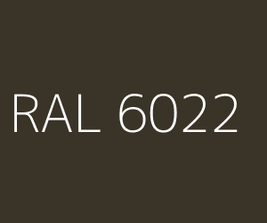 Couleur RAL 6022 OLIVE BRUN