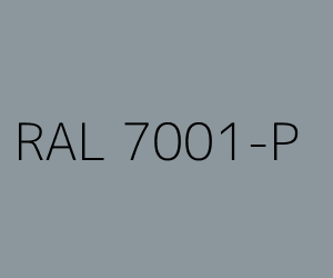 Couleur RAL 7001-P GRIS ARGENT