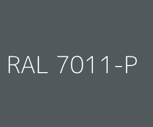 Couleur RAL 7011-P GRIS FER