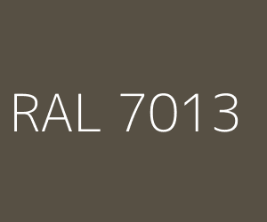 Couleur RAL 7013 GRIS BRUN
