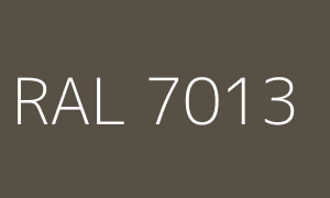 Couleur RAL 7013